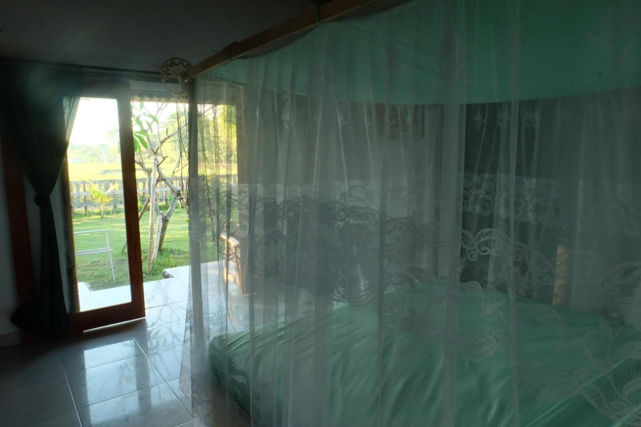 The Nyamo Surf & Stay Pulukan Buitenkant foto